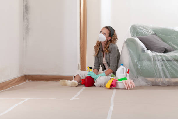 Reliable Basement Mold Remediation contractor in Vauxhall, NJ by Car Mold Remediation